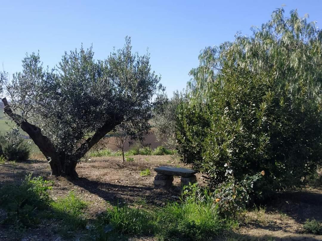Masseria Baglio Perciata Camporeale المظهر الخارجي الصورة